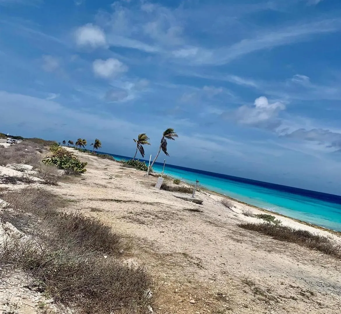 Sand Dollar Apartment B11 Serenity By The Sea Kralendijk  0*, Kralendijk (Bonaire)